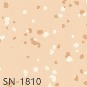 SN-1810